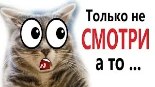 Лютые приколы. ТОЛЬКО НЕ СМОТРИ а то … Новые ВИДЕОМЕМЫ
