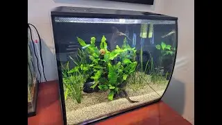Fluval Flex 15 Baffle Removal