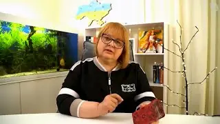 Когда закончится война в Украине: астрологи СМЕЛО называют точные даты