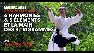 Masterclass Maître Qing Fengzi