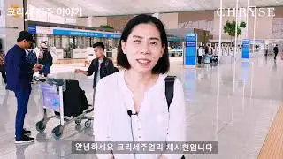 최상급 아코야진주를 찾으러 일본에 다녀왔어요