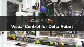 Dynamic Tracking and Sorting System Based on RGB-D ToF Camera and Delta Robot