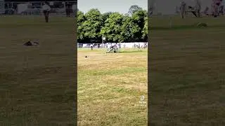 😅 #short #shorts #90s #uk