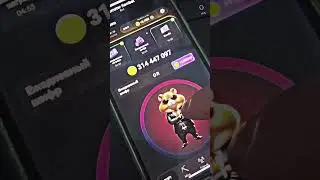 New Kombo in Hamster Kombat about 03.06.24 #hamsterkombo #hamsterkombination #hamster #kombat