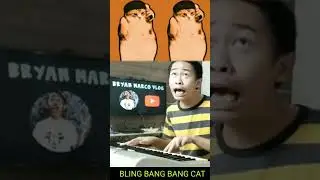 BLING BANG BANG CAT MEME.