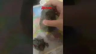 14 октября 2022 г.