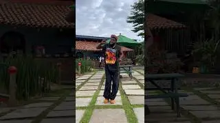 Viral TikTok Dance challenge ( papa script )