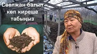 Сөөлжан багып, көп киреше табыңыз