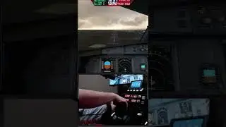 Beautiful approach into Orly France | Fenix A320 | Rate my landing | 