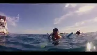 Snorkeling at Savala Island Fiji