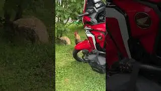 This is your motocamping wake up call! Let’s Go!!