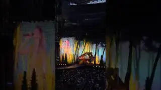 Spettacolare scenografia in Cardigan - Taylor Swift