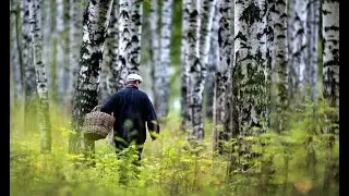 Стих  "По грибы, Деревенские ужасы"