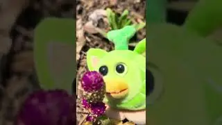 This creature was having a great day, does anyone know what its called?