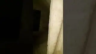 Kleiner Bunker im Wald