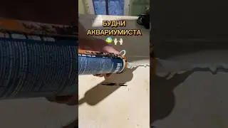 БУДНИ АКВАРИУМИСТА 🐟✨ #аквариумистика акваримные проекты