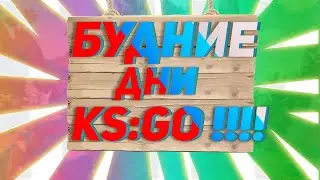 БУДНИЕ ДНИ В КС ГО