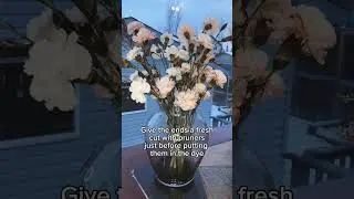 Dyeing carnations is a fun and straightforward process! Here’s a basic method:  Prepare the Dye Solu