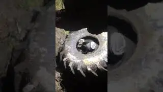 Колесо Ф-82, закидало грязью на лесовозе Т-150