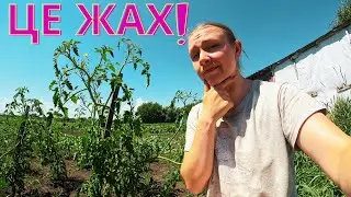 😱ЗАМОВИЛИ СЕМЯ - ПРИЇХАЛО МОЛОКО! АНОМАЛІЯ НА ФЕРМІ!💥