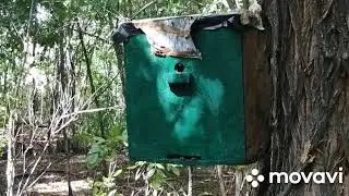 July 2021 swarms: taking down the last traps. Part one. 