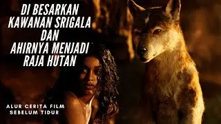 Anak Manusia Yang Di Besarkan Oleh Srigala Di Hutan | Alur Cerita Film Mowgli: Legend of the jungle