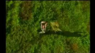 Вася Шугалей и 20000 зажыгалок