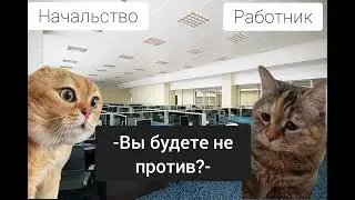 мем два кота разговаривают 