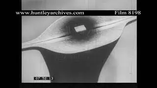 Sex Education in the 1940's.  Archive film 8198