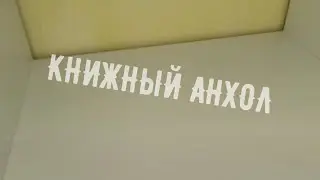 КНИЖНЫЙ АНХОЛ/ КНИГИ ИЩУТ ДОМ