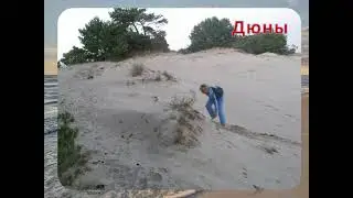 Куршская коса