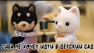 Сиба не хочет идти в детский сад 💕Детский stop motion мультфильм