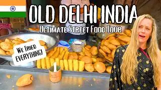 Ultimate Old Delhi Street Food Tour | Tourists Try EVERYTHING!! 🇮🇳