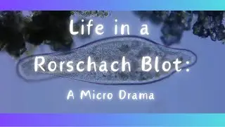 Mead’s Microsafaris: Life in a Rorschach Blot