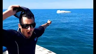 Die besten Videos aller Zeiten || The Best Videos of All Time (Teil 3)
