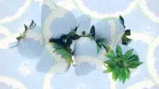 Встреча нового дня