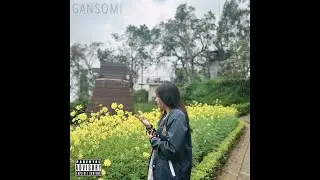Gansomi - Introvert Instrumental