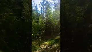 18 июня 2024 г.