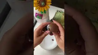 Chupa chups Дино сити | динозавры #asmrvideo #обзор #chupachups #динозавры