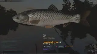 Fisher Online: Жусымбай, Кутум