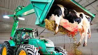 Increíbles Procesos de Producción QUE TODO EL MUNDO DEBERÍA VER