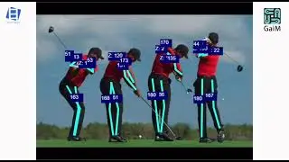 Get Human Pose Estimation and Biomechanics