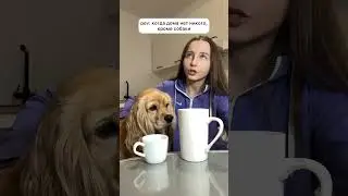 Беседуем…