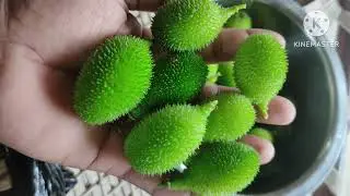 ककोडा की सब्जी || Kakoda Ki Sabji || Kakoda Ki Sabji Kaise Banta Hai ||   ‎@NehasCookBookGujarati 