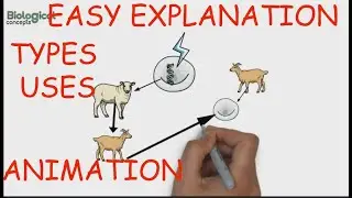 cloning in biology is easily explained|