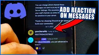 How to React on Discord mobile (2024)