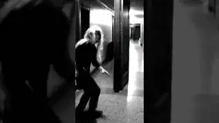 Гений стелса