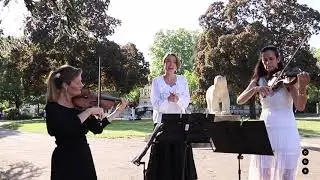 Concert Flash - Mozart, Batti, batti, o bel Masetto (extrait de Don Giovanni)
