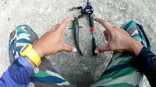 Casting Haruan Parit | Lubok Curut | KumpawRentong VLOG #07