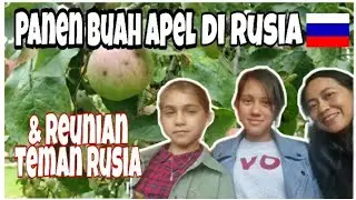 Ke rumah teman Rusia  diajak panen buah apel dan Reunian teman Rusia